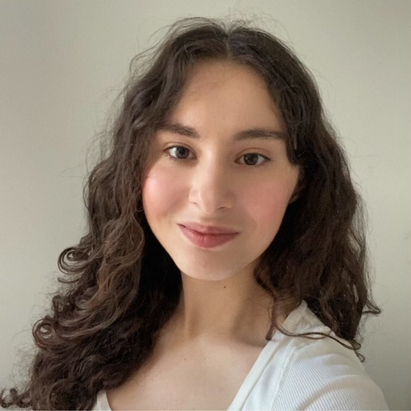 Access the vast international database of talented students and hire foreign interns to boost your business.