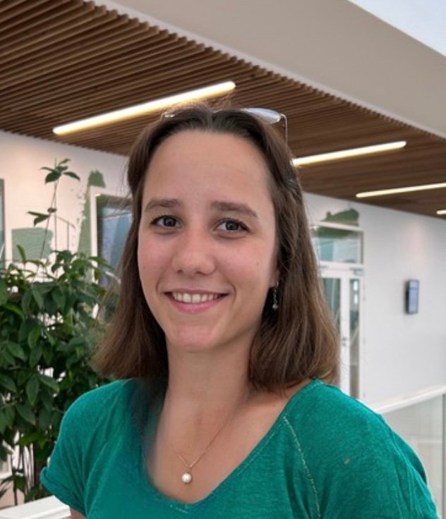 Access the vast international database of talented students and hire foreign interns to boost your business.